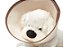 Kit Profissões Infantil - Veterinário - Imagem 5