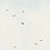 PAPEL de Parede Céu com Gaivotas - Imagem 3