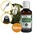 Óleo Essencial de MELALEUCA - 50ml - Imagem 1