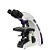 Microscópio Biológico Binocular de Ótica Finita Acromático LED 3W Aumento 1000X Seta em uma Ocular New Optics - Imagem 1