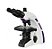 Microscópio Biológico Trinocular de Ótica Finita Acromático LED 3W Aumento 1600X Revólver 5 Objetivas New Optics - Imagem 1
