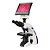 Microscópio Biológico Trinocular de Ótica Finita Acromático LED 3W Aumento 1600X Monitor LED 8" New Optics - Imagem 1