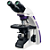 Microscópio Biológico Binocular de Ótica Infinita Planacromático Luz Halógena Aumento 1000X New Optics - Imagem 1