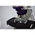 Microscópio Biológico Binocular de Ótica Infinita Planacromático LED 3W Aumento 1600X Revólver 5 Objetivas New Optics - Imagem 4