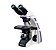 Microscópio Biológico Binocular de Ótica Infinita Planacromático LED 3W Aumento 1000X Seta em uma Ocular New Optics - Imagem 1