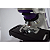 Microscópio Biológico Binocular com Dispositivo Polarização Ótica Infinita Planacromático LED New Optics - Imagem 2
