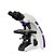 Microscopio Binocular Otica Finita Acromatico Led Aumento 2000X Global Optics - Imagem 1
