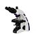Microscopio Trinocular Otica Finita Acromatico LED Aumento 2000x Global Optics - Imagem 4