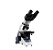 Microscopio Binocular Otica Finita Acromatico Led Aumento 1600x C/ Bateria Global Optics - Imagem 1