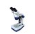Estereoscopio Binocular Sem Zoom - Aumento 20x, 40x, 80x Global Optics - Imagem 1