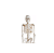 Esqueleto Humano 85 cm de Altura com Suporte- 4D ANATOMY - Imagem 2