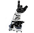 Microscopio Trinocular Otica Finita Planacromatico Led 1000x - Global - Imagem 1