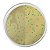 Agar Cromogênico Listeria Base (Iso 11290-1). Frasco 500 G - Kasvi - Imagem 1