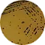 Base de Ágar Baird-Parker 500g - Biocomma - Imagem 3