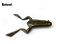 Isca Soft M3X X-Frog - 9cm / 2und - Imagem 3