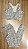 Conjunto - legging cordão + top - Imagem 9