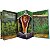 Livro Pop-Up - Animais - Imagem 2