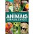 Livro Mundo Animal - Animais Brasileiros - Imagem 1