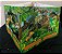 Livro 3D Carrossel - Incríveis Dinossauros - Imagem 2
