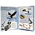 Livro-Modelo - Aves de Rapina - Imagem 2