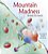Lit. Inf. - Inglês - Mountain Madness - Imagem 1