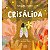 Livro Crisálida - Literatura Infantil Ciranda - Imagem 1