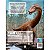 Livro Espetacular 3-D - Dinossauros - Ciranda Cultural - Imagem 2