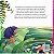 Livro Literatura Infantil Flor de Mureru - Ciranda na Escola - Imagem 2