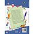Livro Apoio Escolar - Manual do Primeiro Livro - Editora Ciranda Cultural - Imagem 2