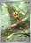 Chespin (087/086) ( Foil - Caos Ascendentes NM ) - Imagem 1