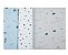 Kit Cueiro Composê Papi - 3 Peças - Espaço - Tecido Flanelado - 80 x 80 cm - Imagem 4