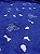 Laise Rechilieu - Azul Royal - Imagem 2