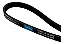 4PK 0820 CORREIA MULTI V - CNT - Correia Ar Condicionado Accord 1.6 16v 1998-2002 Poly V - Imagem 1