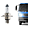 H4 - 24V - Lampada Caminhão Lâmpada Onibus h4 24v 75/70w philips farol alto/baixo ph13342 - PONTO M PECAS AUTOMOTIVAS - Imagem 1