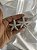 BROCHE DE CABELO ESTRELAS DO MAR- PRATEADO - Imagem 2