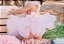 Romper luxo C Saia Turu - Imagem 4