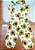 Macacão Girassol - Imagem 1