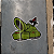 Sticker Pack #1 - Imagem 4