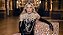 Madonna - Celebration Tour - Imagem 1