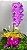 Orquideia  phalaenopsis - Imagem 1