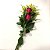 Buquê com 02 rosas un/2 - Imagem 2