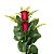 Buquê com 02 rosas un/2 - Imagem 1