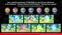 Pokémon Brilliant Diamond & Shining Pearl Double Pack - Switch - Imagem 2