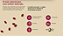 COQ10 + OMEGA 3TG + NATURAL VITAMIN E 120 CAPS - ESSENTIAL NUTRITION - Imagem 4