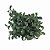 PICK FOLHAGEM CD-0036 - Imagem 2