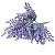 PICK LAVANDA CD-0075 - Imagem 2