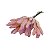 MAÇO ALPISTE ROSA CD-0114RS - Imagem 1