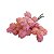 MAÇO DENTE DE LEÃO ROSA CD-0115RS - Imagem 1
