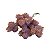 MAÇO DENTE DE LEÃO MARRON CD-0115MR17, - Imagem 1