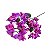 GALHO DE BOUGAINVILLE ROXO FH-0003RX - Imagem 2
